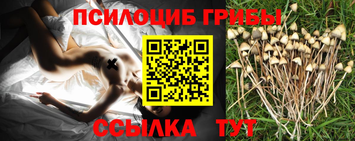 Галлюциногенные грибы ЛСД Курчатов